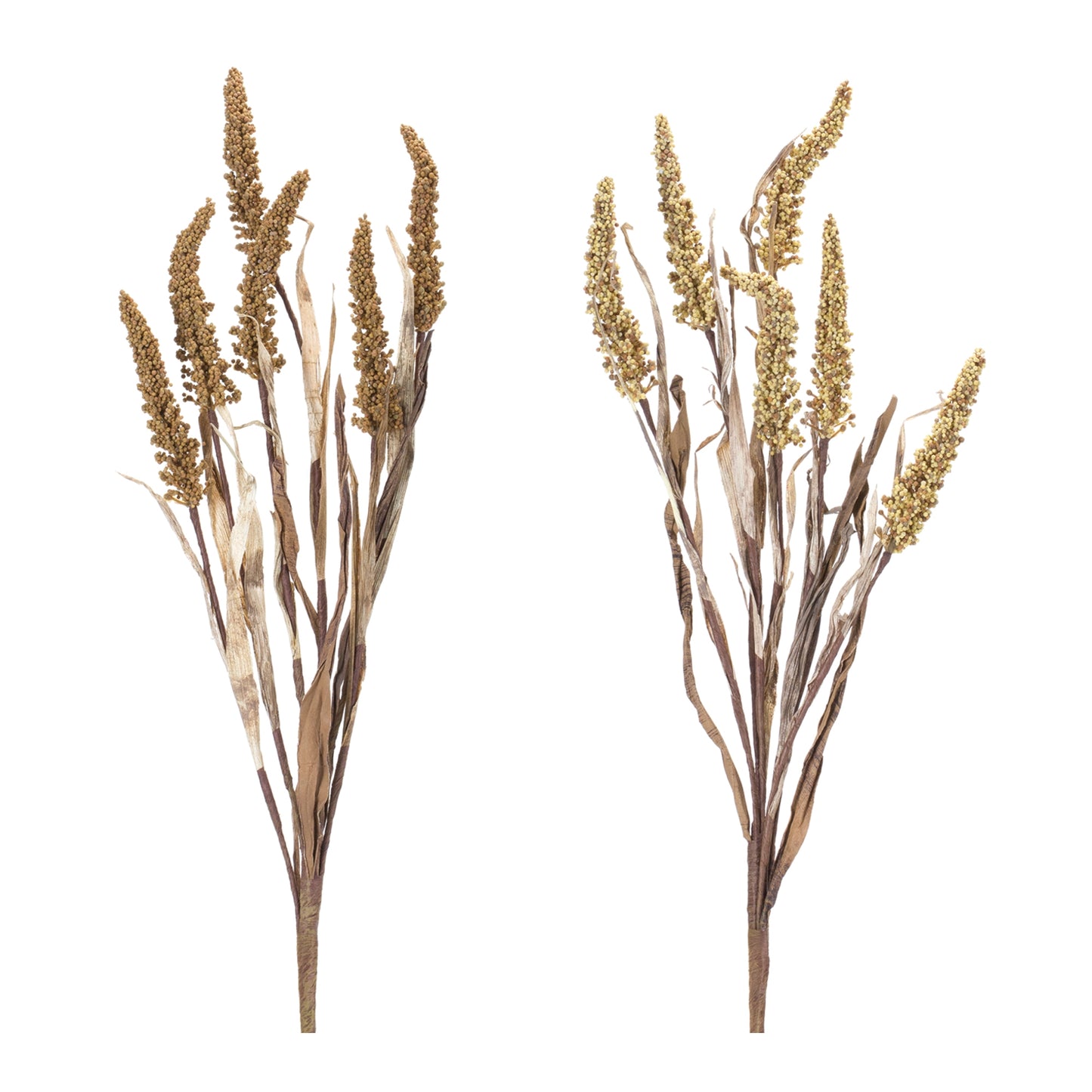 Amaranthus Bush (Set of 2)