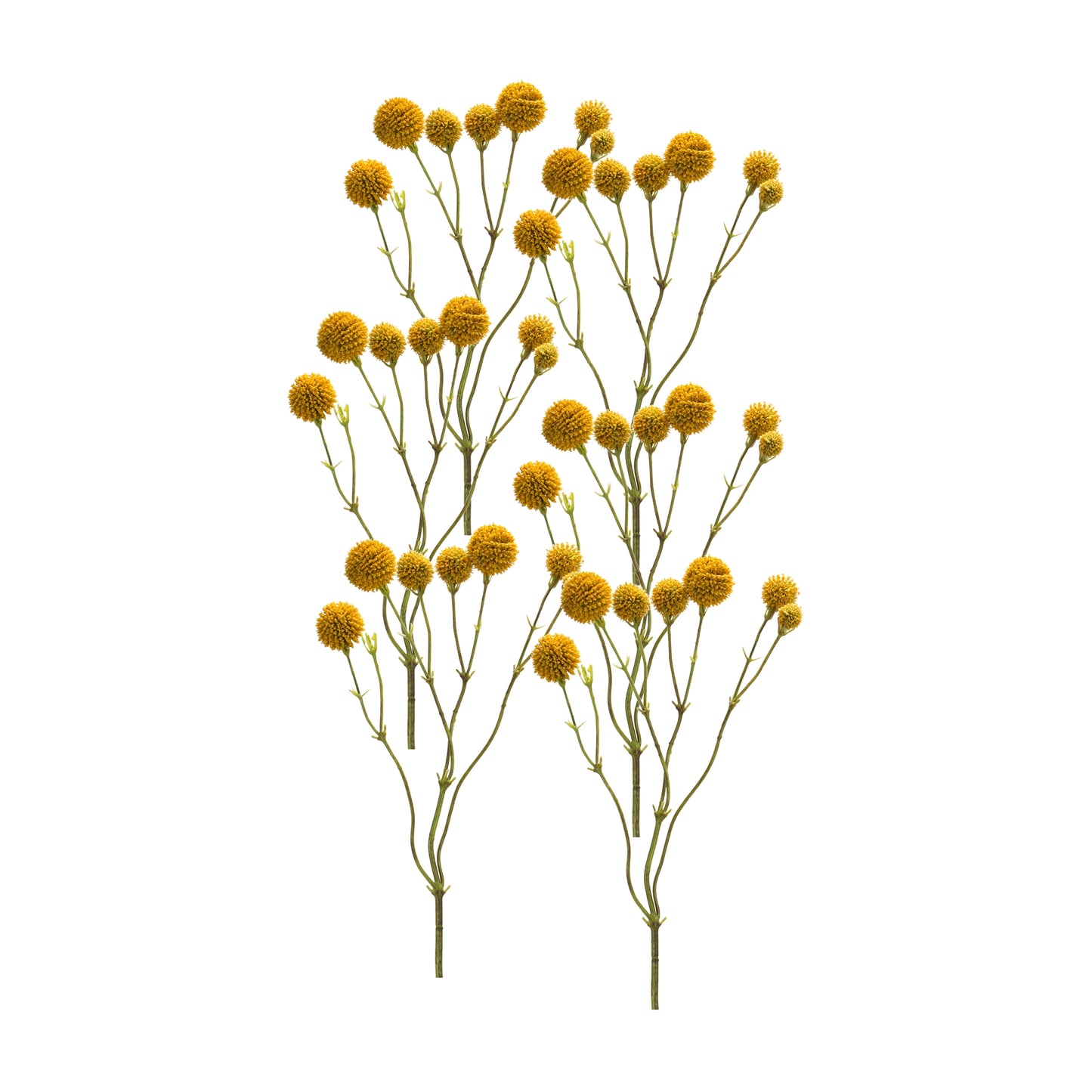 Yellow Pod Twig Spray (Set of 6)