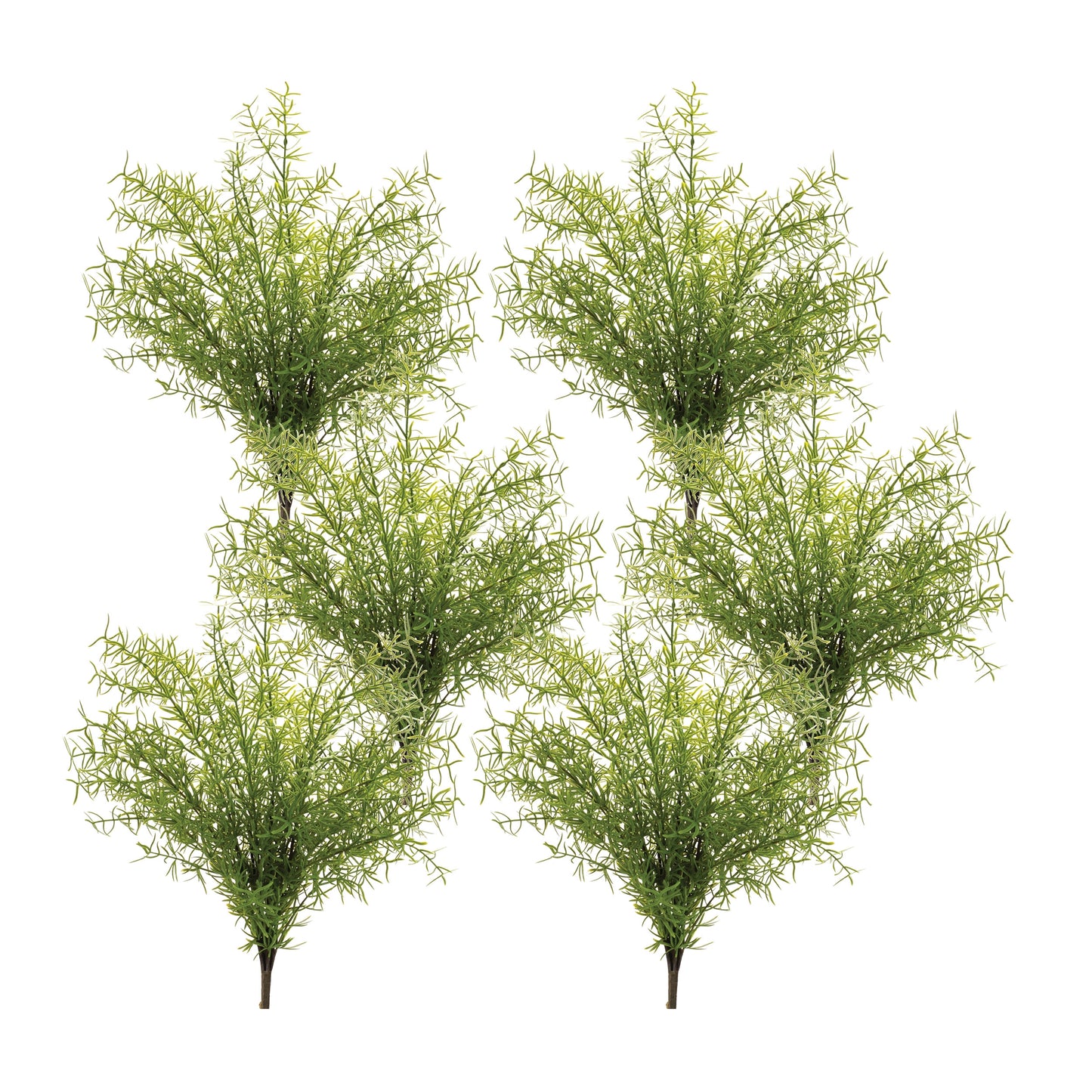 Asparagus Fern Foliage Bush (Set of 6)