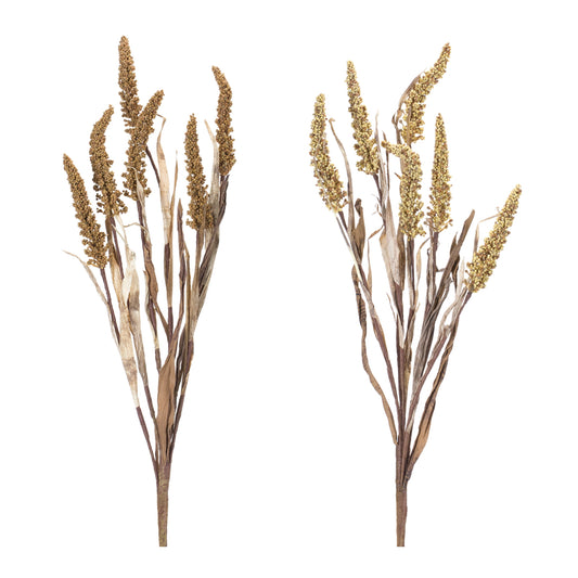 Amaranthus Bush (Set of 2)
